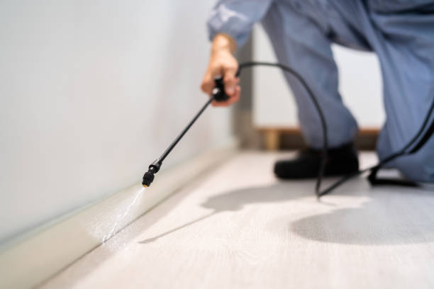 Certified termite inspector examining foundation in Benton
